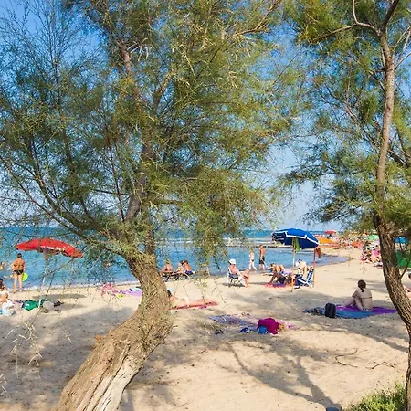 Agave Al Mare سبيكتشيولا